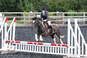 Class 3 -  Fences not above 2'3